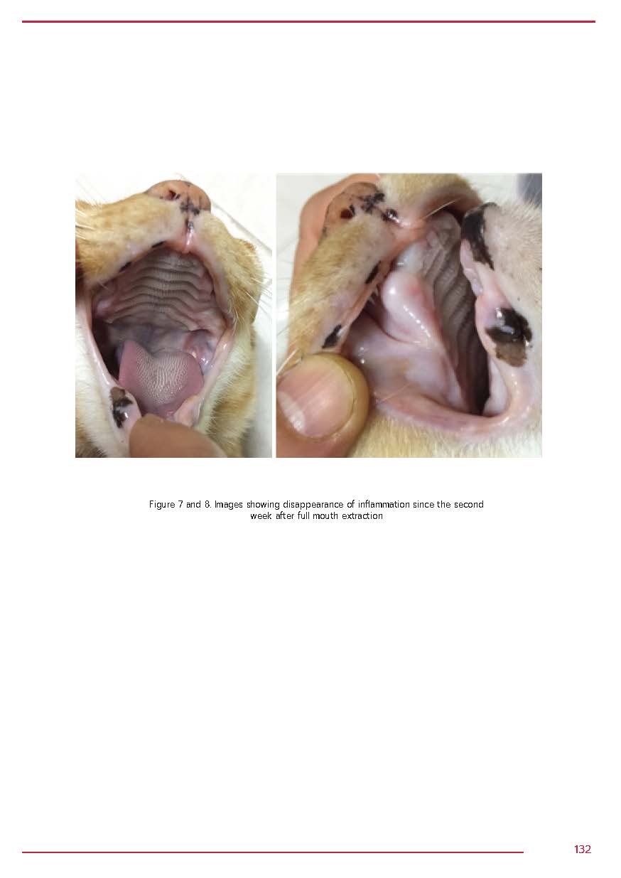 Efﬁcacy of PCSO524® (VetzPetz Antinol®) for Inﬂammation Control in Cat with Chronic Juvenile