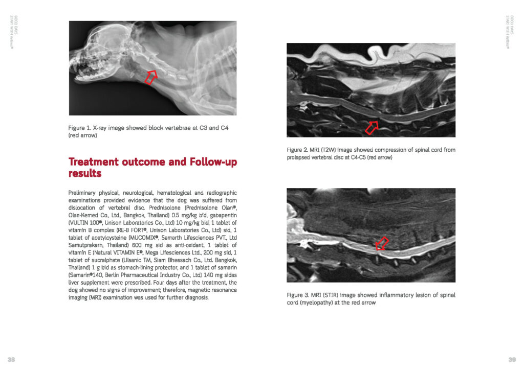 what causes spinal cord injuries in dogs